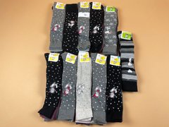 Шкарпетки жіночі Disney C&A FF02-31637