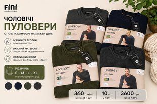 Чоловічі пуловери Livergy 726-071085 726-071085 фото