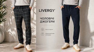 Чоловічі брюки джогери Livergy 326-069162 326-069162 фото