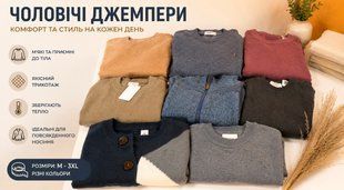Джемпер чоловічий демісезон Action DF26-071032 DF26-071032 фото